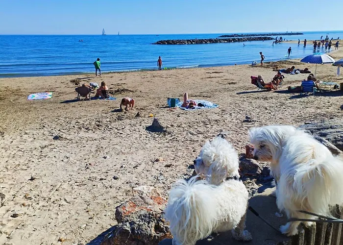 Front De Apartmán Palavas-les-Flots